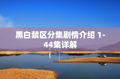 黑白禁区分集剧情介绍 1-44集详解