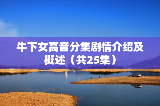 牛下女高音分集剧情介绍及概述（共25集）