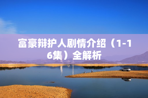 富豪辩护人剧情介绍（1-16集）全解析