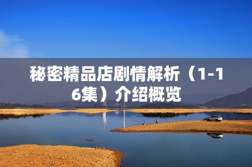 秘密精品店剧情解析（1-16集）介绍概览