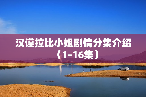 汉谟拉比小姐剧情分集介绍（1-16集）