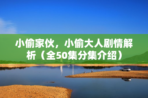 小偷家伙，小偷大人剧情解析（全50集分集介绍）