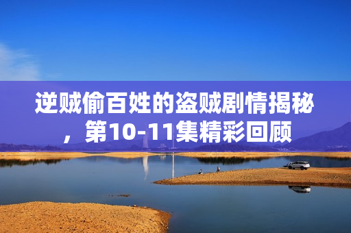 逆贼偷百姓的盗贼剧情揭秘，第10-11集精彩回顾