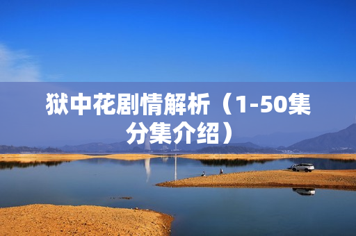 狱中花剧情解析（1-50集分集介绍）