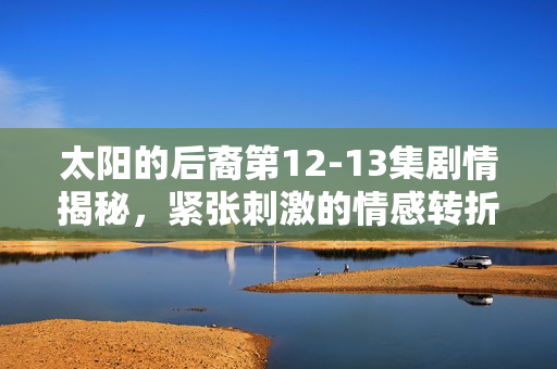太阳的后裔第12-13集剧情揭秘，紧张刺激的情感转折与命运交汇
