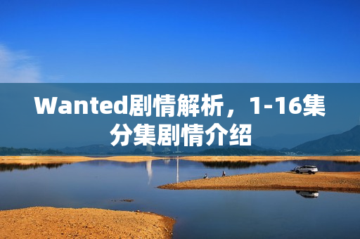 Wanted剧情解析，1-16集分集剧情介绍