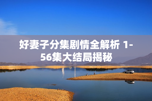 好妻子分集剧情全解析 1-56集大结局揭秘