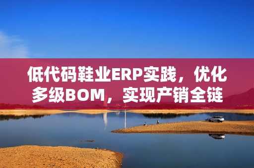 低代码鞋业ERP实践，优化多级BOM，实现产销全链路打通，开发周期大幅缩短70%