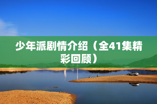 少年派剧情介绍（全41集精彩回顾）