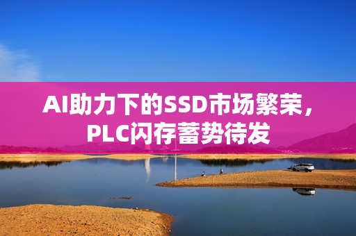 AI助力下的SSD市场繁荣，PLC闪存蓄势待发