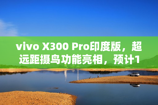 vivo X300 Pro印度版，超远距摄鸟功能亮相，预计12月发布