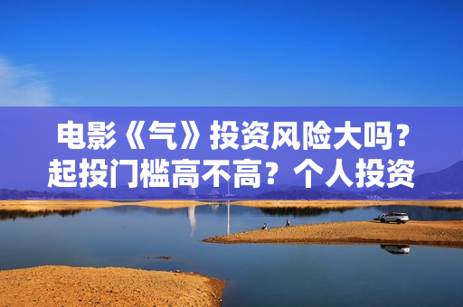 电影《气》投资风险大吗？起投门槛高不高？个人投资赚钱啊？