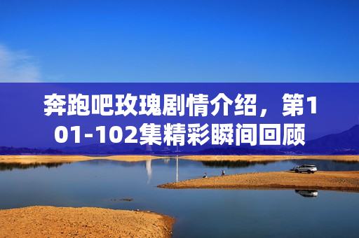 奔跑吧玫瑰剧情介绍，第101-102集精彩瞬间回顾