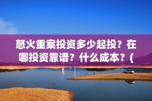 怒火重案投资多少起投？在哪投资靠谱？什么成本？(怒火重案投资金额)