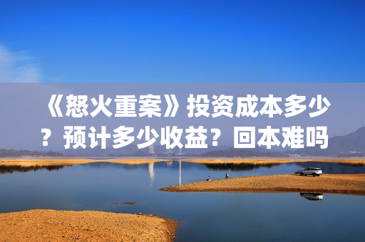 《怒火重案》投资成本多少？预计多少收益？回本难吗？(怒火重案片名)