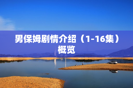 男保姆剧情介绍（1-16集）概览