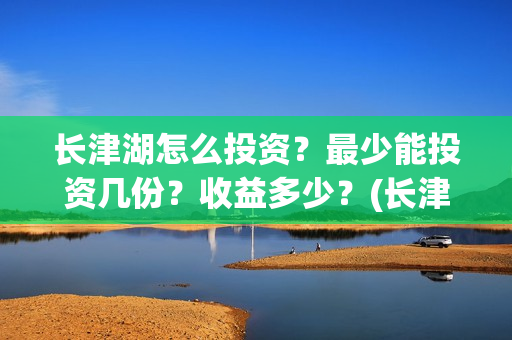 长津湖怎么投资？最少能投资几份？收益多少？(长津湖怎么参与投资)
