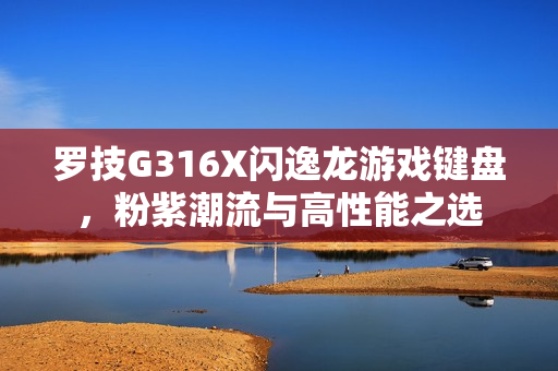罗技G316X闪逸龙游戏键盘，粉紫潮流与高性能之选