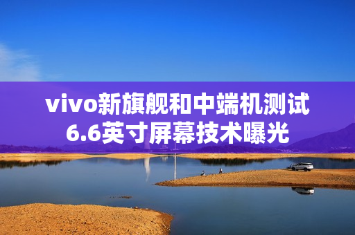 vivo新旗舰和中端机测试6.6英寸屏幕技术曝光
