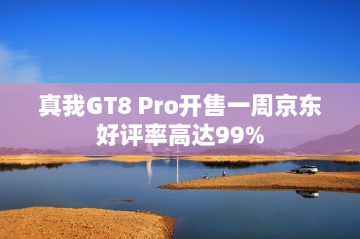 真我GT8 Pro开售一周京东好评率高达99%