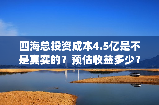 四海总投资成本4.5亿是不是真实的？预估收益多少？(四海 成本)