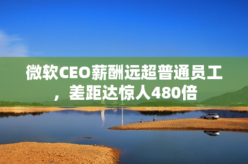 微软CEO薪酬远超普通员工，差距达惊人480倍