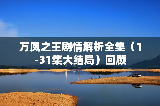 万凤之王剧情解析全集（1-31集大结局）回顾