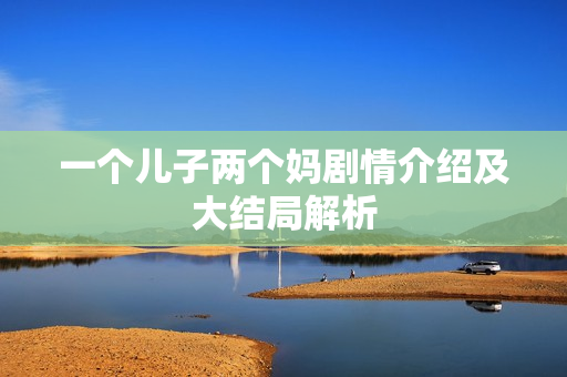 一个儿子两个妈剧情介绍及大结局解析