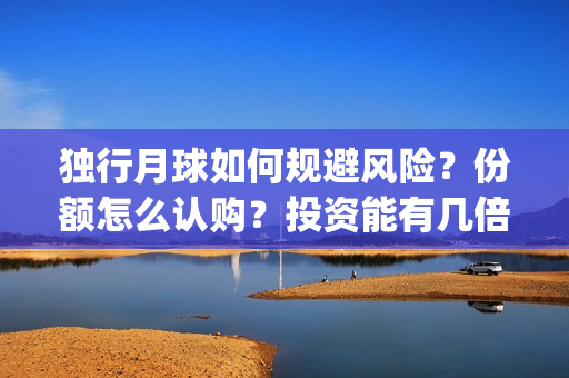 独行月球如何规避风险？份额怎么认购？投资能有几倍的回报率？(《独行月球》)