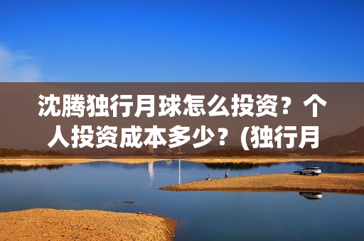沈腾独行月球怎么投资？个人投资成本多少？(独行月球结局什么意思)