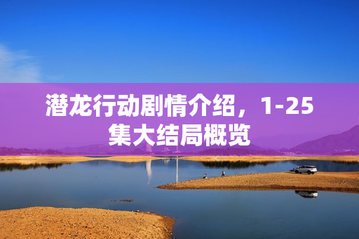 潜龙行动剧情介绍，1-25集大结局概览