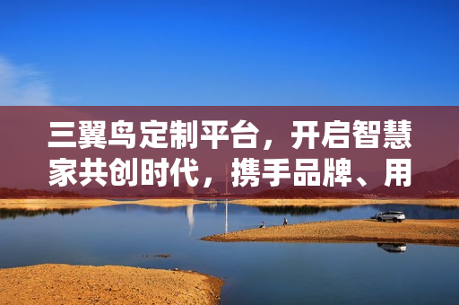 三翼鸟定制平台，开启智慧家共创时代，携手品牌、用户、设计师共创新篇