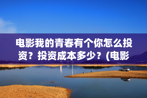 电影我的青春有个你怎么投资？投资成本多少？(电影我的青春有个你免费下载)