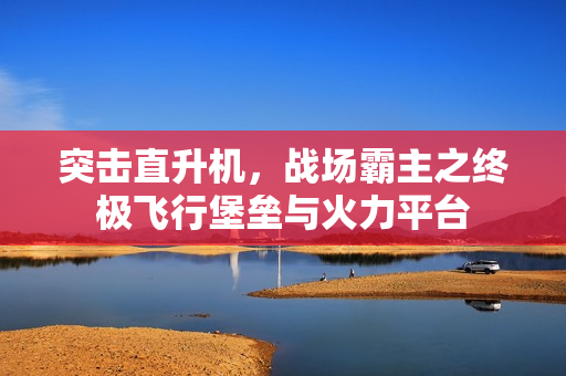 突击直升机，战场霸主之终极飞行堡垒与火力平台