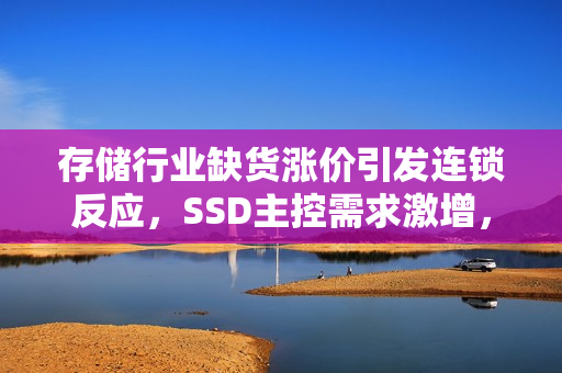 存储行业缺货涨价引发连锁反应，SSD主控需求激增，单月出货量暴增300%！