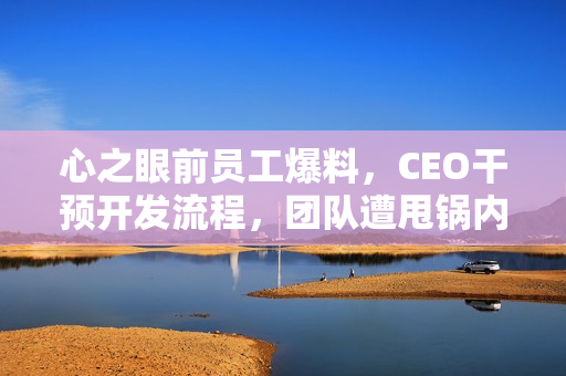 心之眼前员工爆料，CEO干预开发流程，团队遭甩锅内幕揭秘