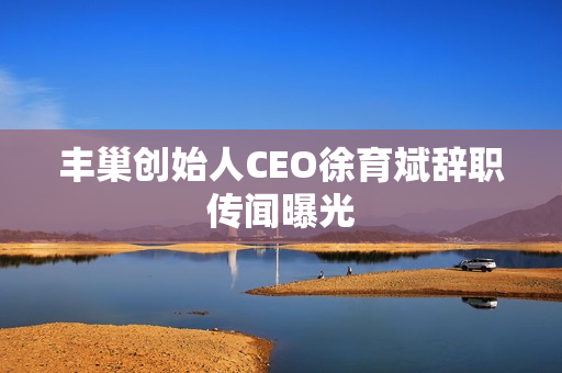 丰巢创始人CEO徐育斌辞职传闻曝光