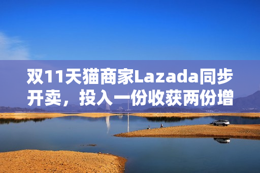 双11天猫商家Lazada同步开卖，投入一份收获两份增长！