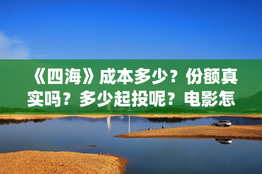 《四海》成本多少？份额真实吗？多少起投呢？电影怎么投资(四海剧情)