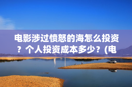 电影涉过愤怒的海怎么投资？个人投资成本多少？(电影涉过愤怒的河的内容)