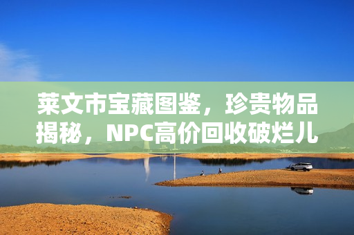 莱文市宝藏图鉴，珍贵物品揭秘，NPC高价回收破烂儿