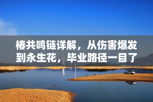 椿共鸣链详解，从伤害爆发到永生花，毕业路径一目了然