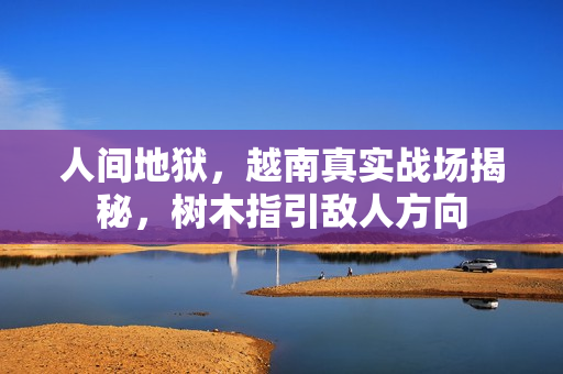 人间地狱，越南真实战场揭秘，树木指引敌人方向