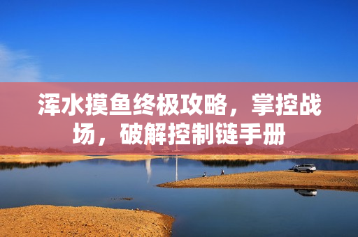 浑水摸鱼终极攻略，掌控战场，破解控制链手册
