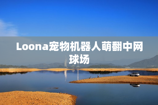 Loona宠物机器人萌翻中网球场