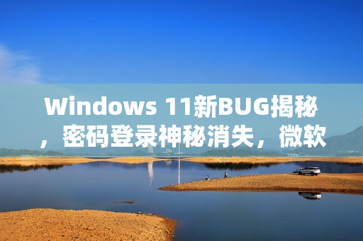 Windows 11新BUG揭秘，密码登录神秘消失，微软建议盲操应对