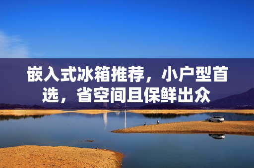 嵌入式冰箱推荐,小户型首选,省空间且保鲜出众 嵌入式冰箱推荐,小户型首选,省空间且保鲜出众