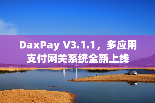DaxPay V3.1.1，多应用支付网关系统全新上线