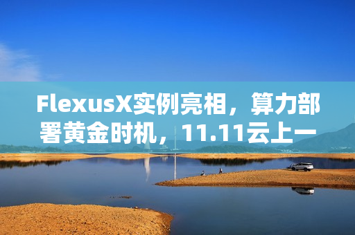 FlexusX实例亮相，算力部署黄金时机，11.11云上一步到位的解决方案