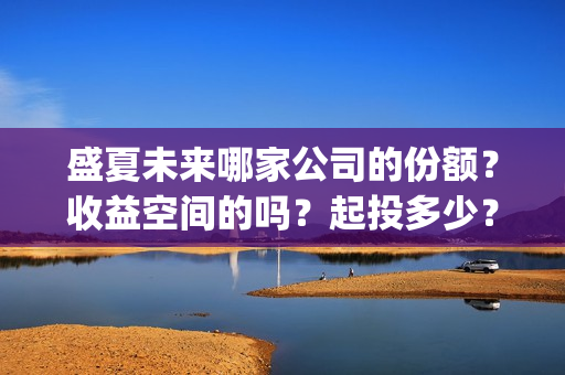 盛夏未来哪家公司的份额？收益空间的吗？起投多少？(盛夏未来king)